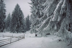 Zima na Kamenoj Gori.