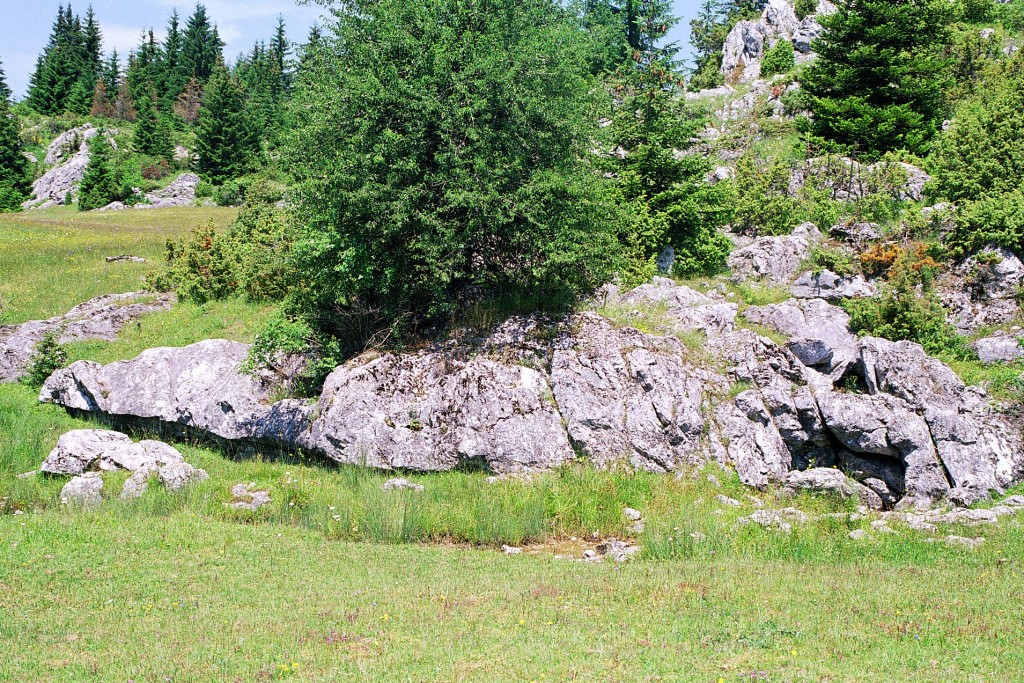 Kamena Gora, idealna za ljubitelje prirode.
